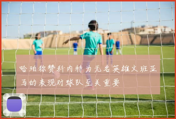 哈珀称赞科内特为无名英雄文班亚马的表现对球队至关重要